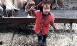 Türkiye Gündemine Oturmuştu! İstinaf Müslüme Yağal'ın Ölümüyle İlgili Davada Kararını Açıkladı