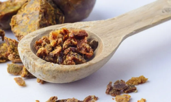 Propolis nedir, faydaları ve nasıl kullanılır?