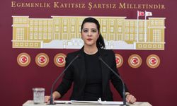 Gaziantep Milletvekili Karaca’dan zor sorular