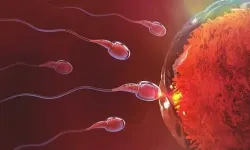 Spermin yumurtaya girdiğini nasıl anlarız? Hamilelik Belirtileri Nelerdir?