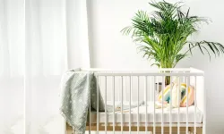 Bebek odasındaki zehirli havayı temizleyen bitkiler!