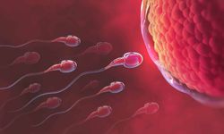 Erkeklerde sperm kaç yaşında?