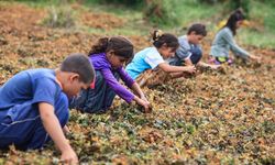 Gaziantep Çocuk İşçilerde Liste Başı