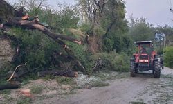 Sağanak yağış ve dolu hayatı olumsuz etkiledi