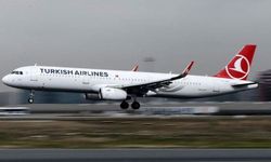 Uçağa Kuş Çarptı: THY İstanbul Seferi Ertelendi
