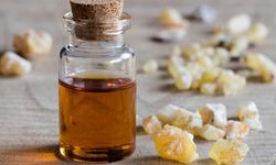 Güzellikte Son Dönemin En Çok Konuşulan Yağı