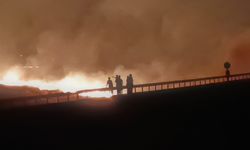 Gaziantep’te orman yangını çıktı!
