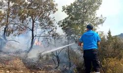 KKTC’de orman yangını çıktı