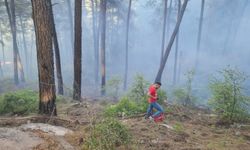 Orman yangınında 10 dekar alan yandı