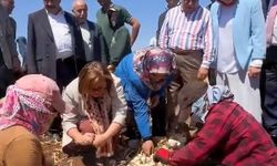 Fatma Şahin'den çiftçiye destek