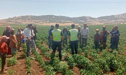 Gaziantep'te mevsimlik tarım işçilerine eğitim