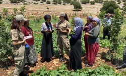 Gaziantep’te KADES tanıtıldı