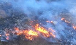 Gaziantep'te korkutan orman yangın
