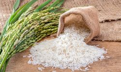 Basmati Pirinç Nedir? Diğer Pirinçlerden Farkı