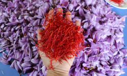 Safranın bilinmeyen faydaları şaşkına çevirdi