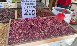 1 kg Antep fıstığı kaç tane?