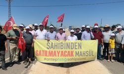 Fıstık üreticilerinden silahlı protesto