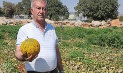 Gaziantep’te çiftçiler mağdur edildi