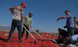 GAFSAD’dan İslahiye’de anlamlı proje