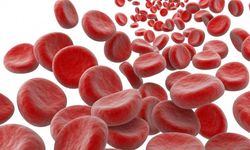 Hemoglobin Nedir? Yüksekliği ve Düşüklüğü Nasıl Yönetilir?