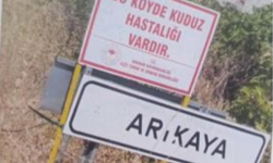 Gaziantep’te kuduz alarmı!