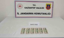 Sahte para yapan şahsa jandarmadan suçüstü