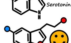 Serotonin Nedir? Ruh Halinizi Destekleyen Doğal Kaynaklar