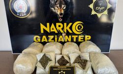 5 kilo skunk ele geçirildi!