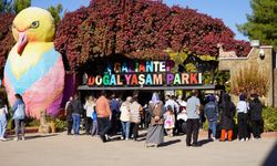 Gaziantep Doğal Yaşam Parkı'nda doğum sayısı arttı!