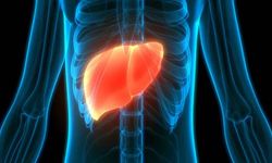 Hepatomegali Nedir? Karaciğer Büyümesinin Sebepleri