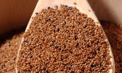 Teff Tohumu Nedir? Sağlık İçin 10 Faydası