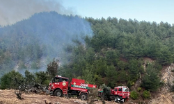 Gaziantep'in ciğerleri yandı!