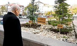 Bahçeli genel merkez önüne ‘Biz Kardeşiz Ağaçları’ dikti