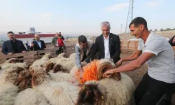 Şahinbey'in desteği işe yaradı