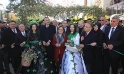 Zeytin Festivali coşkuyla kutlandı