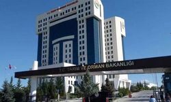 Tarım ve Orman Bakanlığı personel alım başvuruları ne zaman?