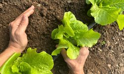 Yavuzeli'nde Tarımda Yeni Dönem!