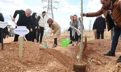 Gaziantep'te Fidanlar Toprakla Buluştu