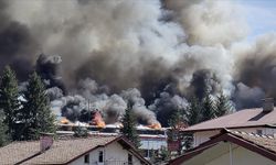 Bolu'da Korkutan Yangın! Valilikten Açıklama Geldi