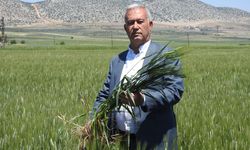Araban’da Çiftçinin Yüzleri Gülüyor