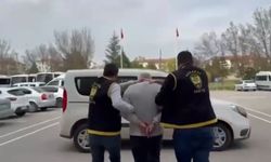 Ceviz Dolandırıcılığı Çözüldü