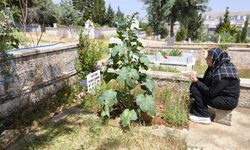 Anneler Günü Değil, Acı Günü!