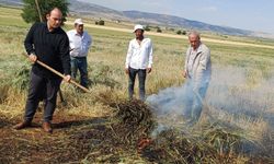 Gaziantep'te Firik Sezonu Açıldı!
