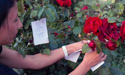 Hıdırellez'de Neler Yapılır? Dilekler Nasıl Dilenir, Nereye Gömülür?