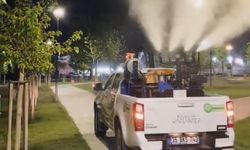Gaziantep Bu Yazı Sivrisineksiz Geçirecek