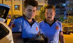 Minik Kediyi Dakikalar İçinde Kurtardılar!