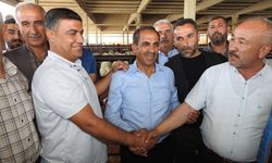 Gaziantep’te Kurbanlık Pazarlığı Kızıştı