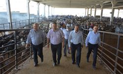 Gaziantep Kurban Bayramına Hazır