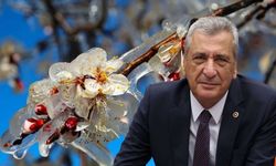 Gaziantepli Çiftçiler Görmezden Gelindi