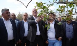 Tarımda Deprem Şehitkamil’i Vurdu!